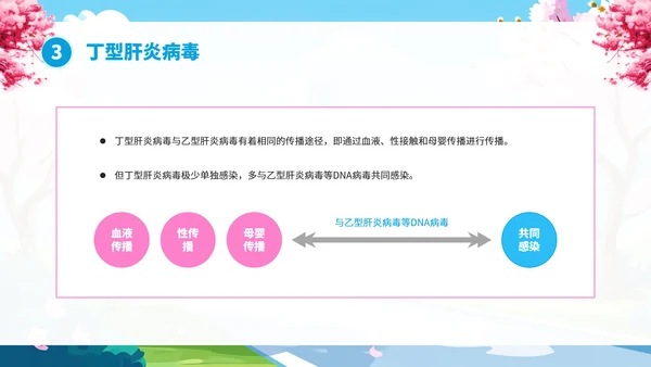 全国爱肝日肝病知识宣传PPT模板