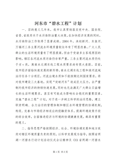 河东市“碧水工程”计划 (4).docx