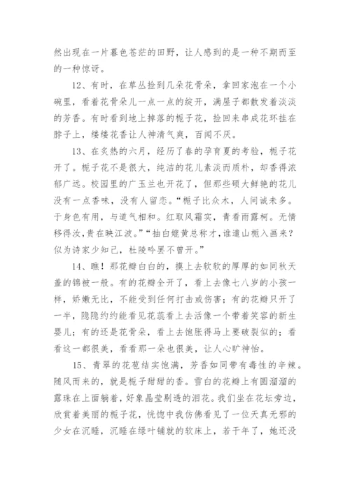 描写栀子花的优美段落.docx