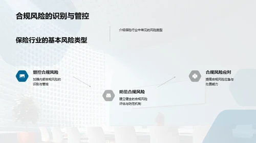 保险风险管理优化