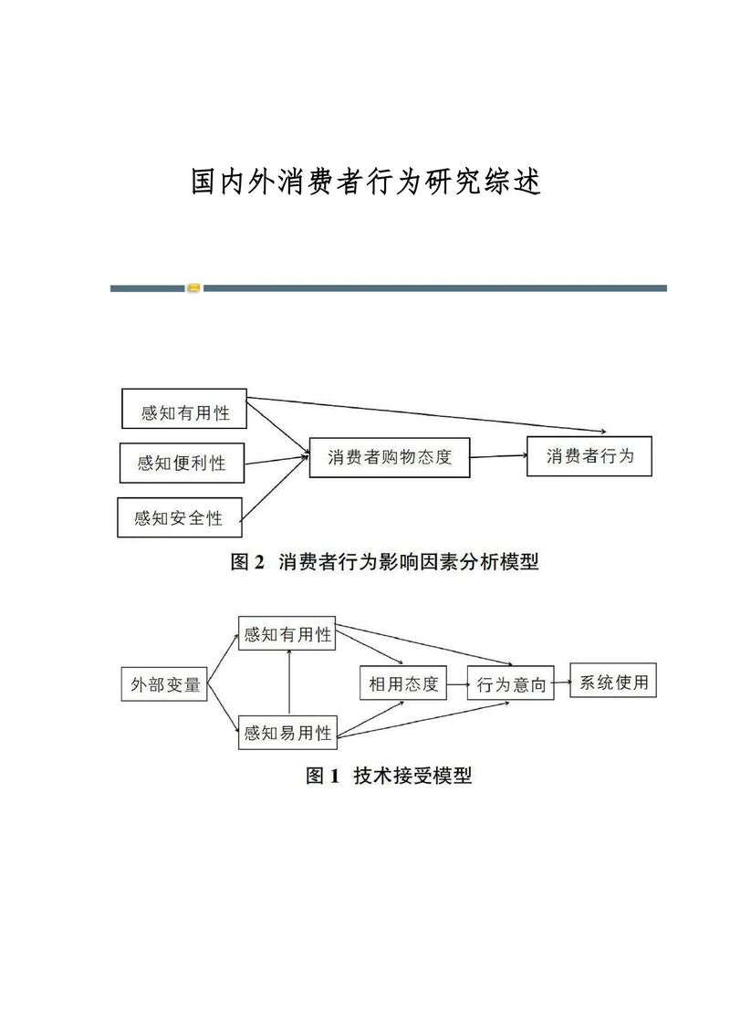 国内外消费者行为研究综述
