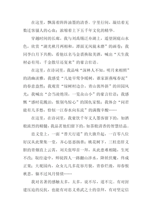 在这里作文800字.docx