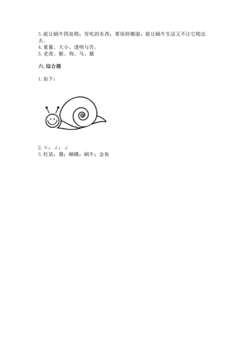 教科版一年级下册科学期末测试卷加下载答案.docx