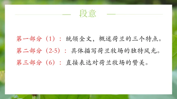 统编版语文五年级下册第七单元（课件）