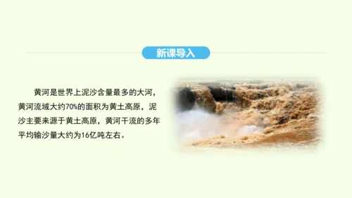 6.3 世界最大的黄土堆积区——黄土高原 第2课时 严重的水土流失 水土保持（课件29张）- 人教版