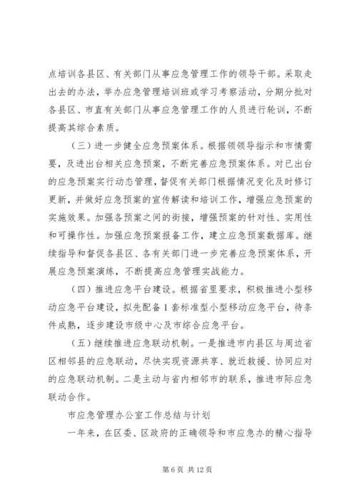 市应急管理办公室工作总结与计划.docx