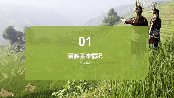 绿色现代苗族文化概览培训课件PPT模板