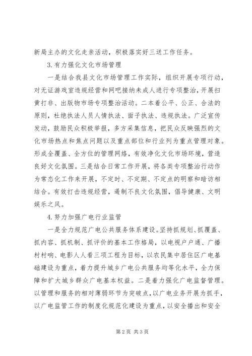 文广新局201X年下半年工作计划.docx