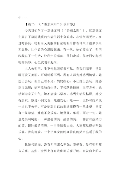 番茄太阳读后感.docx