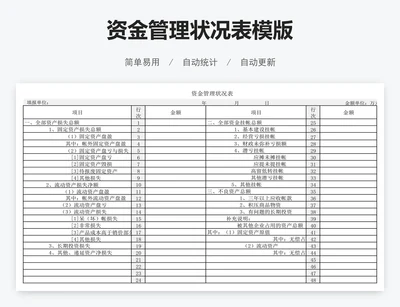 资金管理状况表模版