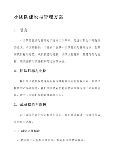 小团队建设与管理方案