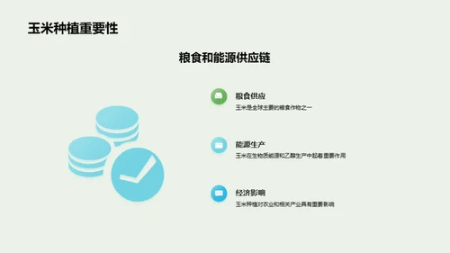 玉米种植：全面优化策略