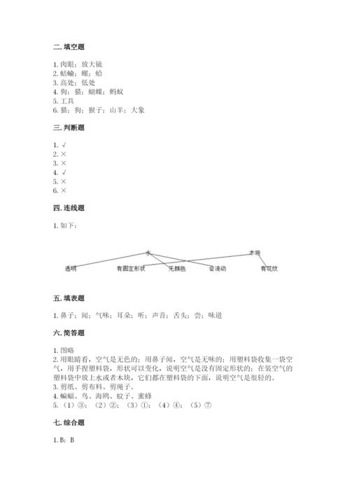 教科版小学科学一年级下册期末测试卷带答案（综合题）.docx