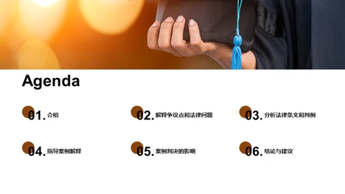 法律案例分析
