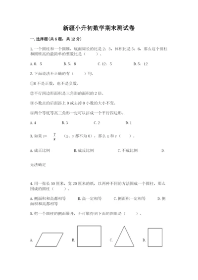 新疆小升初数学期末测试卷（有一套）.docx