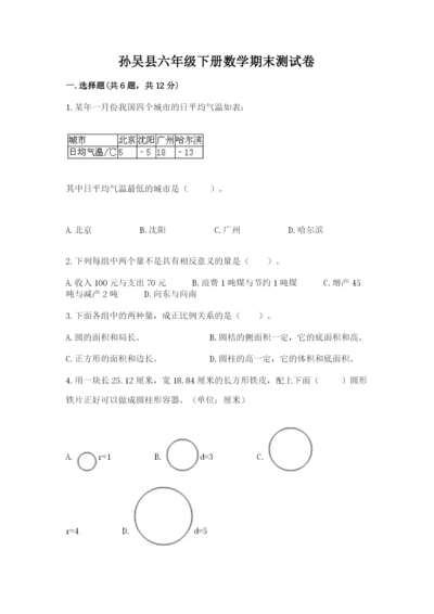 孙吴县六年级下册数学期末测试卷（精练）.docx