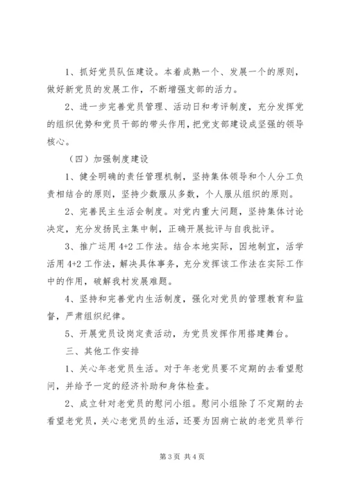 村党总支XX年度工作计划范文.docx