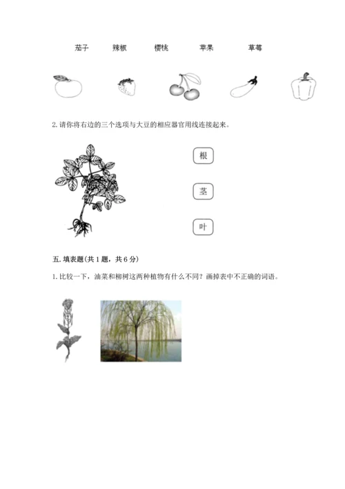 教科版科学一年级上册第一单元《植物》测试卷含完整答案【有一套】.docx