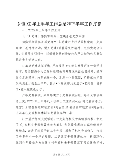 乡镇某年上半年工作总结和下半年工作打算.docx