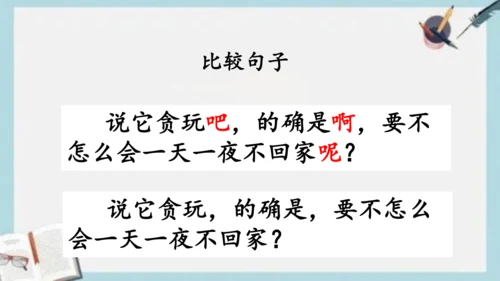 《13.猫》课件