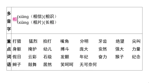 统编版语文四年级上册第五 六单元核心知识梳理课件