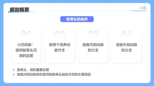 蓝色插画风股骨颈骨医护人员培训讲座医学护理PPT