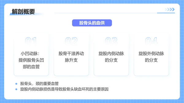 蓝色插画风股骨颈骨医护人员培训讲座医学护理PPT