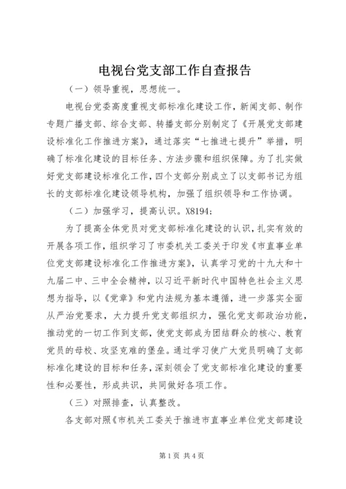 电视台党支部工作自查报告.docx