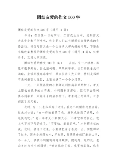 团结友爱的作文500字.docx