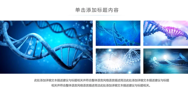 基因生物化学医疗医学DNA学术研究报告PPT模板