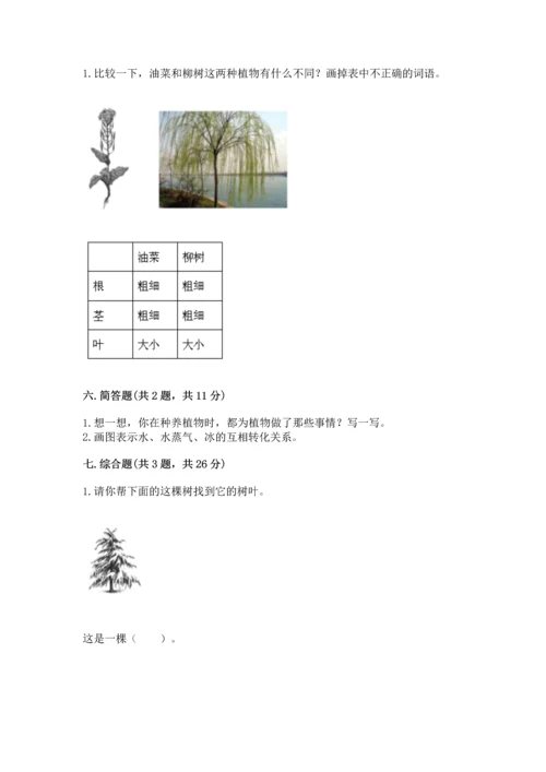 教科版科学一年级上册第一单元《植物》测试卷附完整答案【考点梳理】.docx