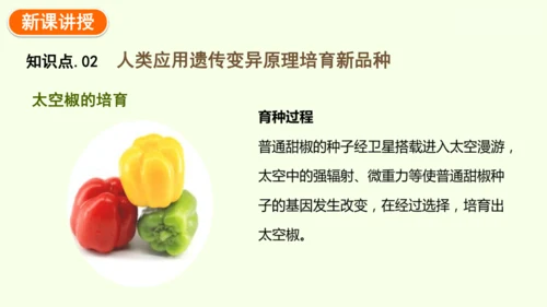 7.2.5生物的变异-八年级生物人教版下学期同步精品课件(共34张PPT)