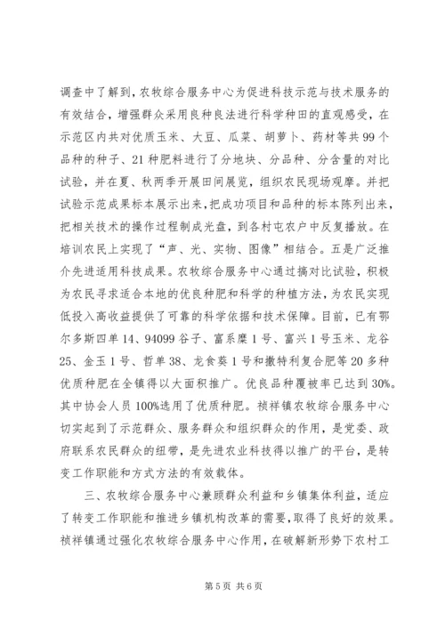 关于×镇农牧综合服务中心建设有关情况的调查 (7).docx