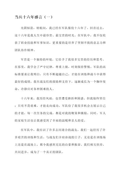 总结当兵十六年感言