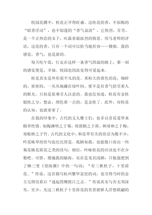 描写桂花样子的作文.docx