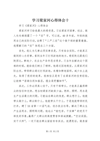 学习梁家河心得体会十 (4).docx