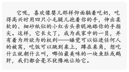 “一核双五”阅读教学法 统编版语文四年级下册第四单元 组文阅读课 课件