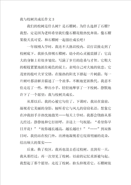 我与校树共成长作文