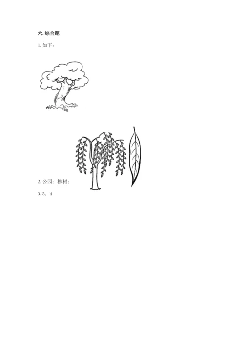 教科版一年级上册科学期末测试卷及下载答案.docx