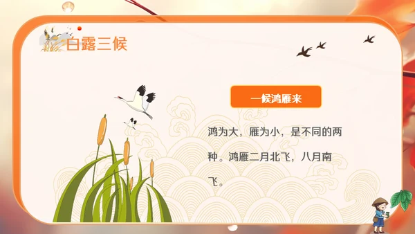 秋色白露节气，秋意浓通用PPT模板