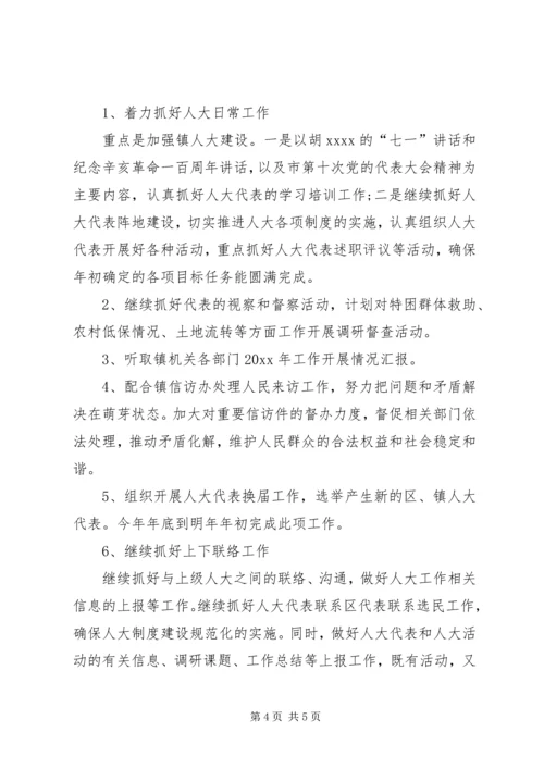人大某年下半年工作计划.docx