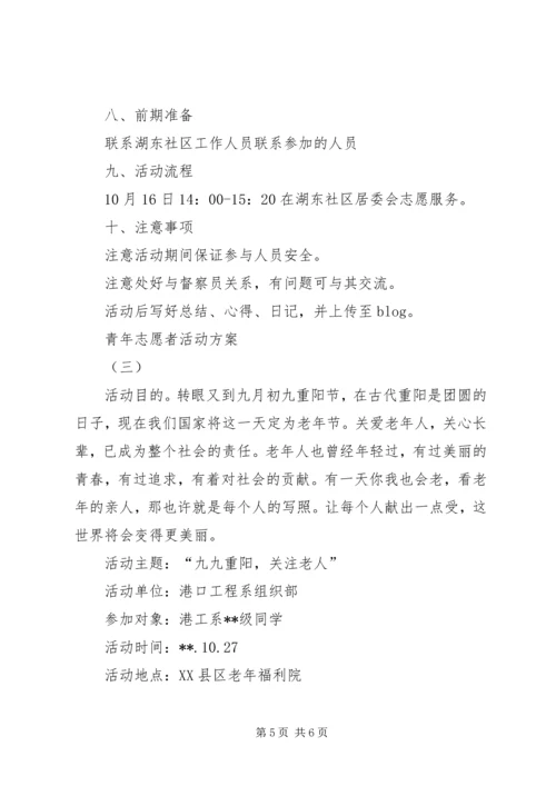 青年志愿者活动方案 (11).docx
