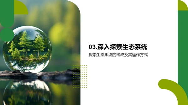 生命与生态
