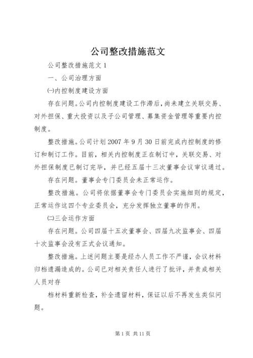 公司整改措施范文.docx