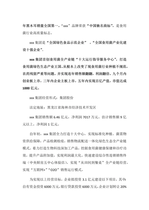 拟上市公司企业商业专题计划书最全实用版本.docx