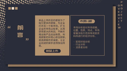 高端质感大气项目融资计划通用PPT模板