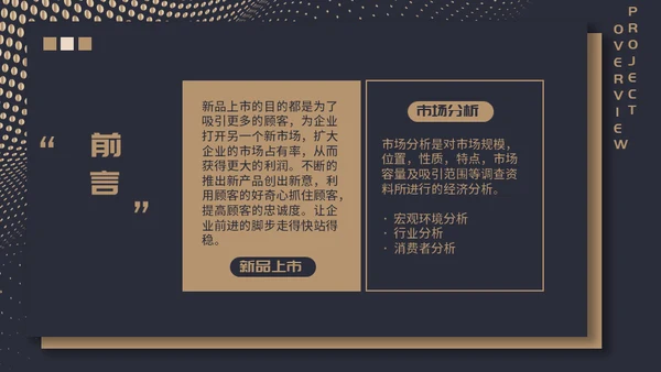 高端质感大气项目融资计划通用PPT模板