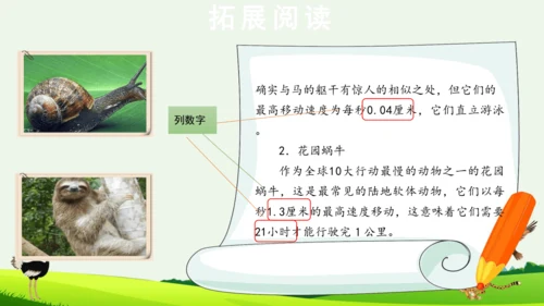 7 什么比猎豹的速度更快 第二课时 课件