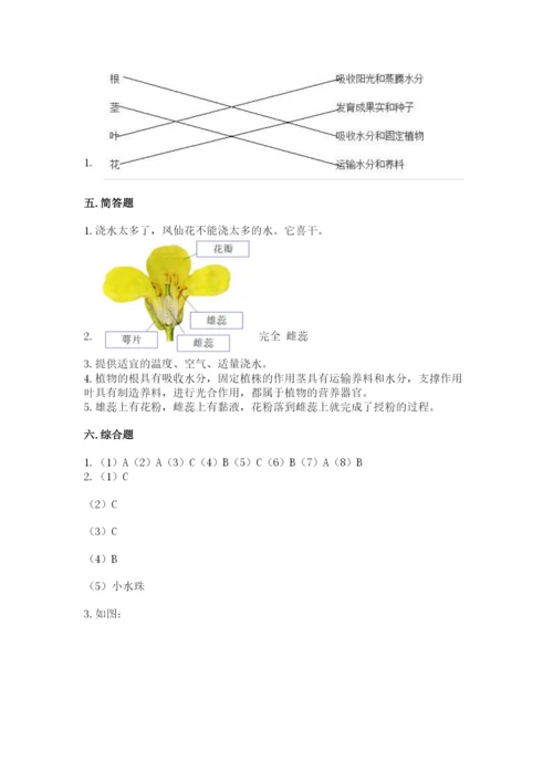 教科版科学四年级下册第一单元《植物的生长变化》测试卷（基础题）.docx