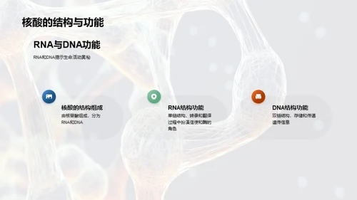 生物分子的结构与功能